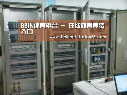 BBIN地址案例展示五