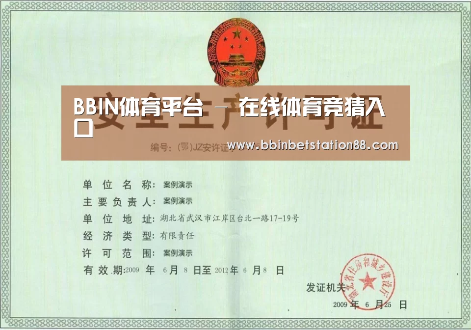 BBIN地址荣誉证书三(图1)