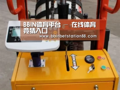 BBIN地址案例展示三