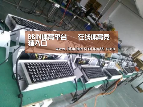 BBIN地址案例展示一