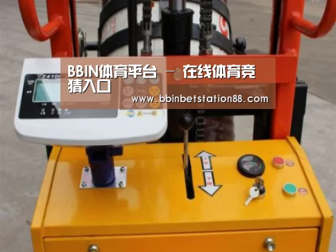 BBIN地址案例展示三(图1)