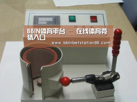 BBIN地址案例展示六