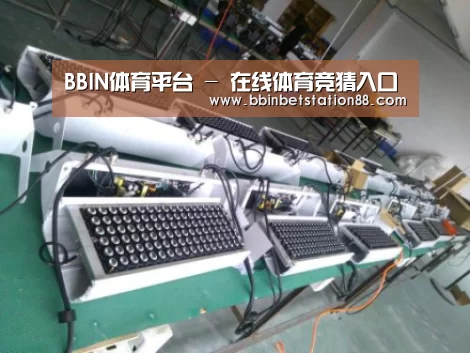 BBIN地址案例展示一(图1)