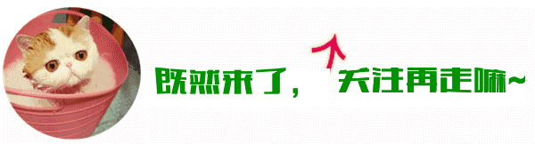 BBIN视讯